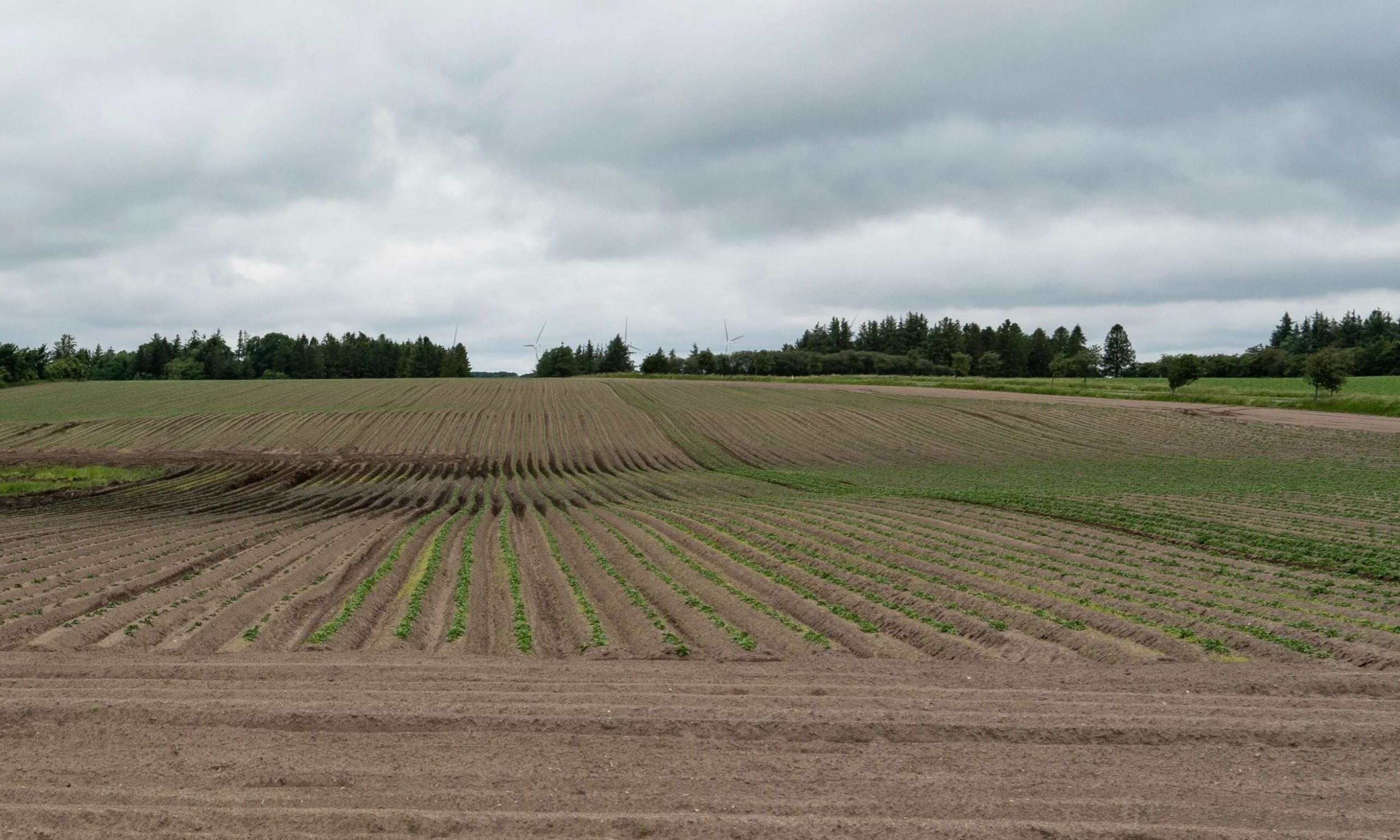 Visualiseringer_Vindmøller øst for Sundstrup_27